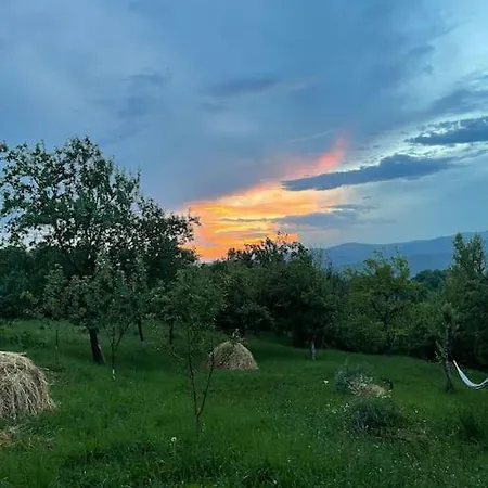 Campolongo Tiny Câmpulung